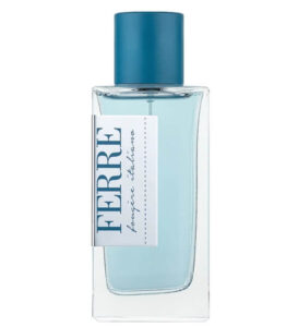 Gianfranco Ferre  Fougere Italiano 100ml EDT (Tester)